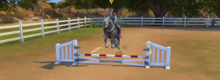 All Sims 4 Horse Ranch Skill Cheats (Horse Skill Cheats too