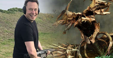 elon-musk-diablo-4-stream.jpg