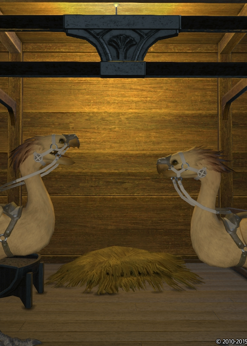 How to get a Chocobo in FFXIV