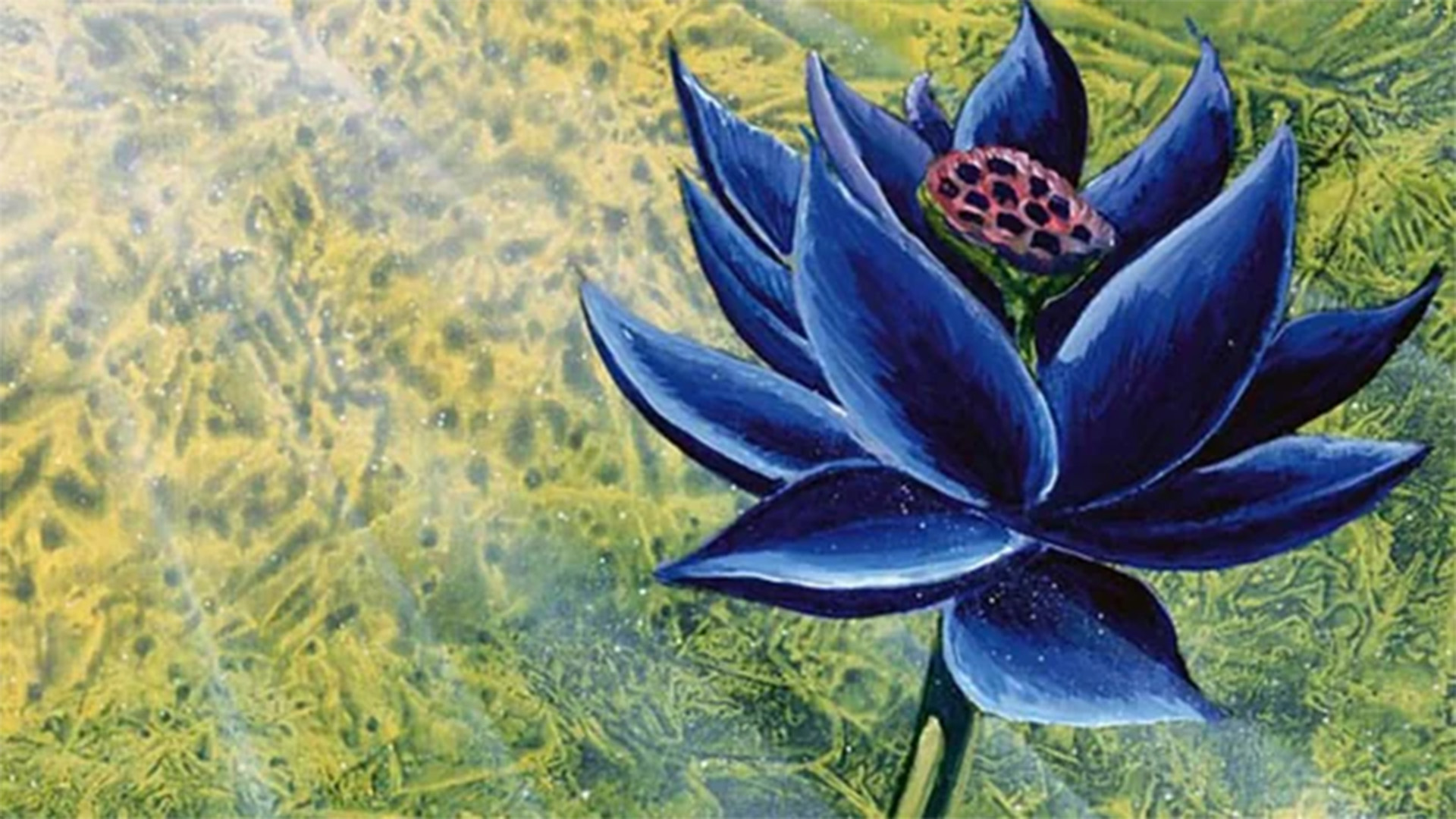 Легендарная карта Magic The Gathering Black Lotus продается дороже, чем одно кольцо Post Malone