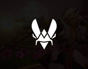 vitality-overwatch-2.jpg