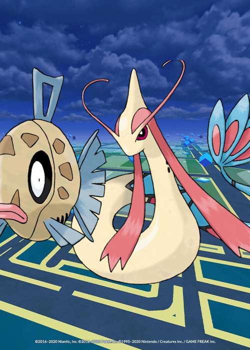 How to evolve Feebas into Milotic in Pokemon GO