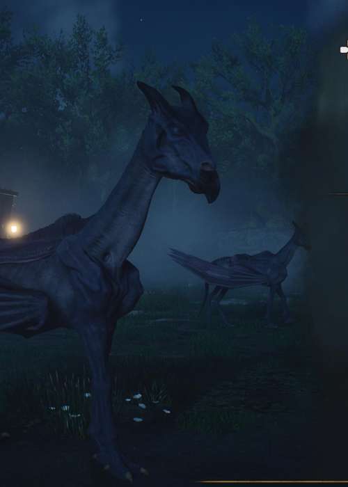 Where to find & how to ride a Thestral in Hogwarts Legacy