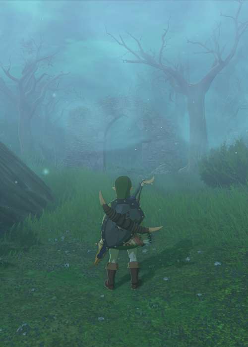 How to get through the Lost Woods in Zelda: Tears of the Kingdom