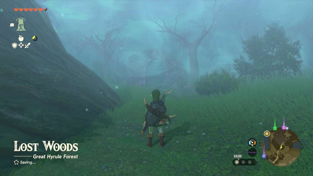 How to get through the Lost Woods in Zelda: Tears of the Kingdom