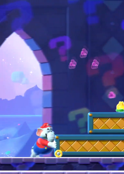 How to 100% 'Secrets of Shova Mansion' in Super Mario Wonder