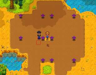 stardew-valley-sprinkler-layout-farm-iridium.jpg