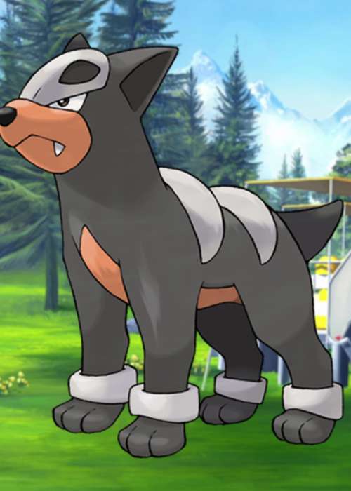 Can Houndour be shiny in Pokemon GO?