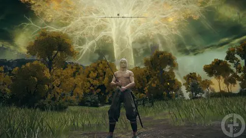 A Sephiroth character created in Elden Ring