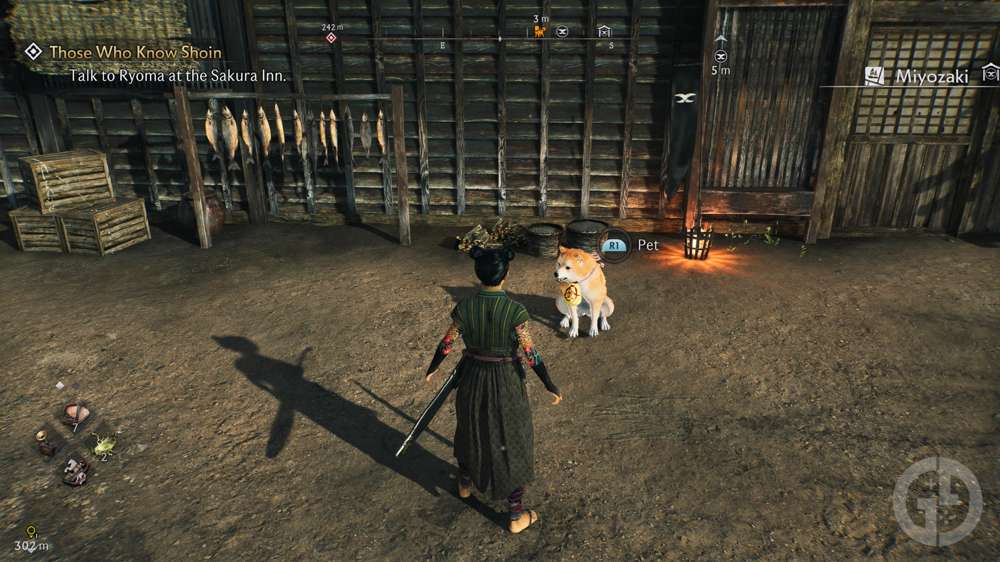 How to check Pilgrim Dogs' progress in Rise of the Ronin