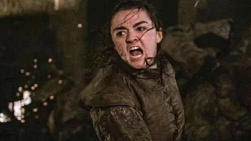 Arya Stark Fight