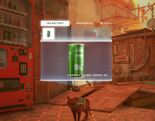 stray-energy-drink-cover.jpg