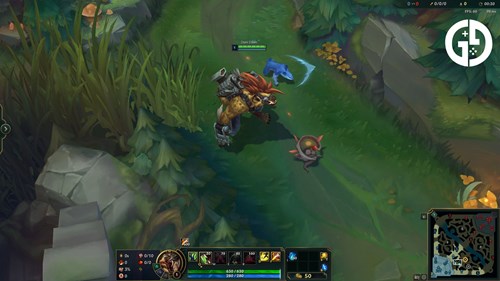 Warwick from LoL.