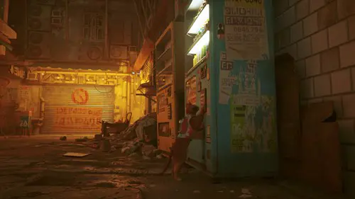 Stray pawing at a vending machine in the slums