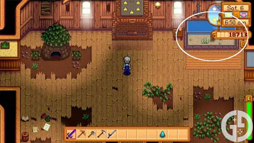 Image of the Community Center Fish Tank in Stardew Valley