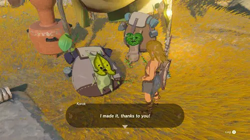 Tears of the Kingdom save Koroks