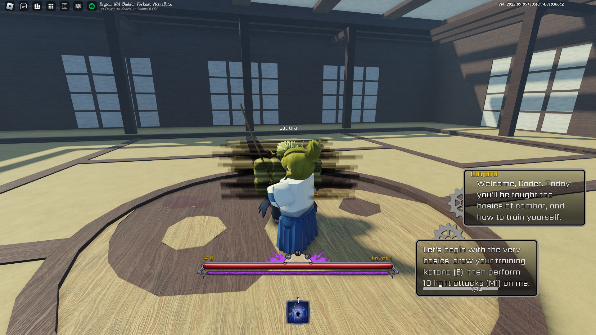 Screenshot showing training in a Dojo in Peroxide