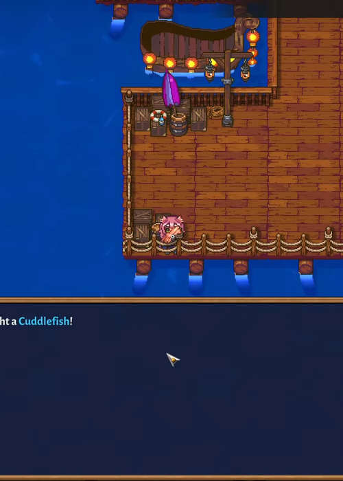 How to catch Cuddlefish in Sun Haven