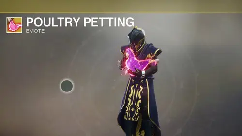 Destiny 2 Chicken error: the poultry petting emote