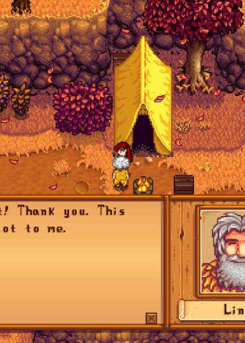 Where Is Linus’ Basket In Stardew Valley?