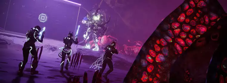 Destiny 2 patch notes for update 7.1.0: Season of the Deep, weapon changes  & more