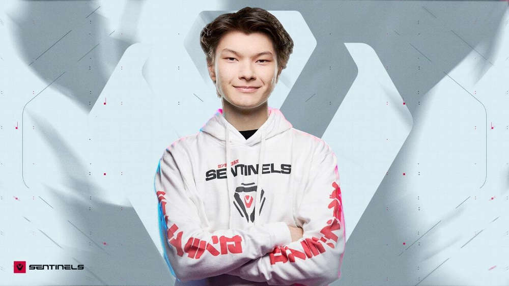 sinatraa-sentinels.jpeg