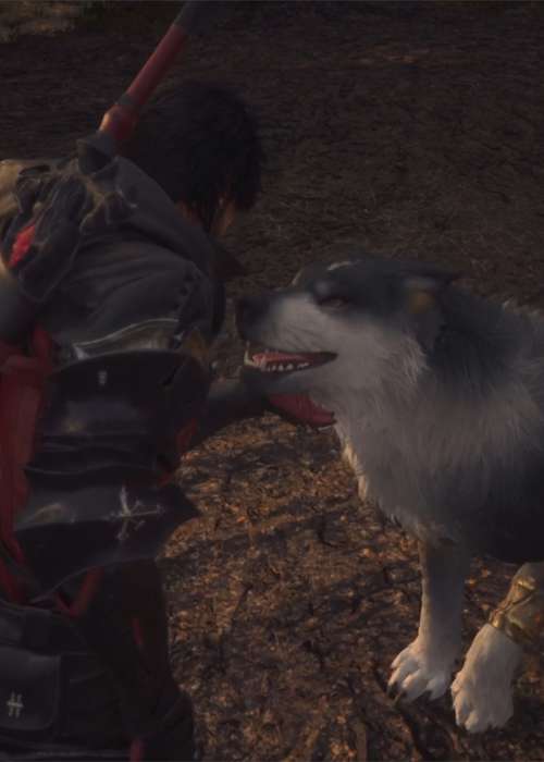 How to pet & interact with Torgal in Final Fantasy 16