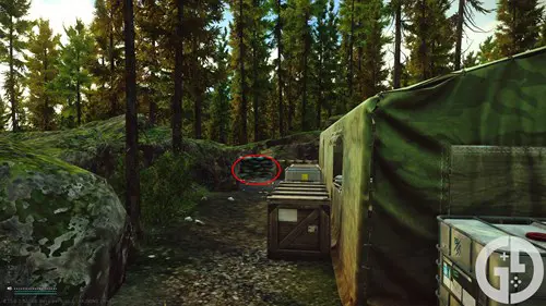 Image of the heavily mined area on Woods in Escape from Tarkov