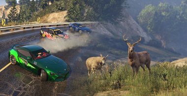 gtao-wildlife.png