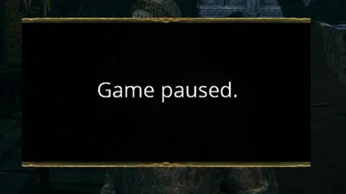 Elden Ring Paused