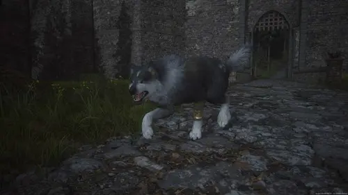 The Final Fantasy 16 dog Torgal doesn't have any outfits either.