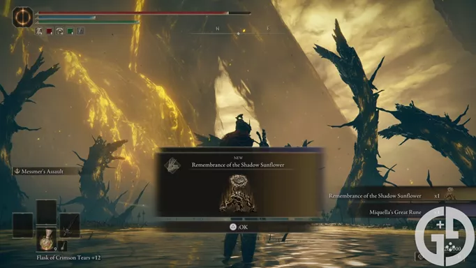 Image of the Scadutree Avatar rewards in Elden Ring Shadow of the Erdtree