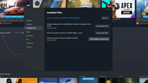 Steam Files verification