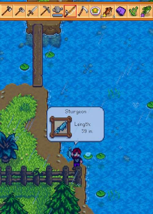 How to find Sturgeons in Stardew Valley