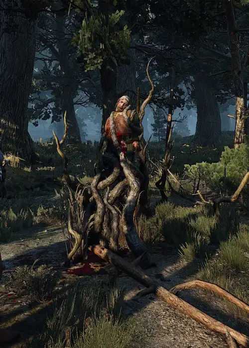 The Witcher 3 In The Heart Of The Woods Walkthrough