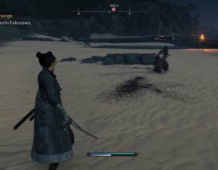 rise-of-the-ronin-fighting-on-the-beach.jpg