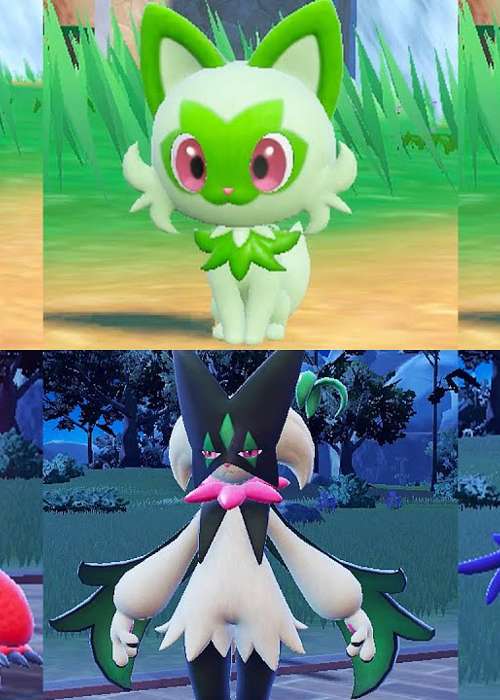 Pokemon Scarlet And Violet Starter Final Evolutions Explained