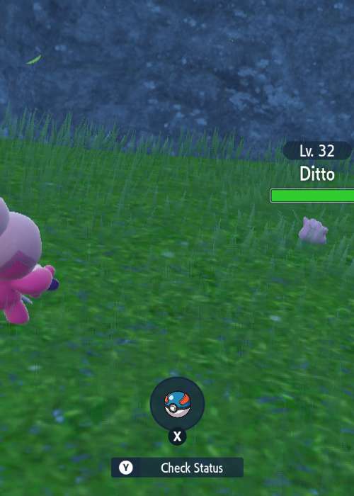 Catch Ditto & Zorua in Pokemon Scarlet and Violet with these tips