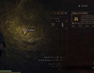 dragons-dogma-golden-beetle-on-ground-and-in-inventory.jpg