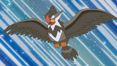 staraptor in the pokemon anime