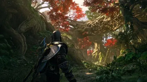 A forest in God of War Ragnarok