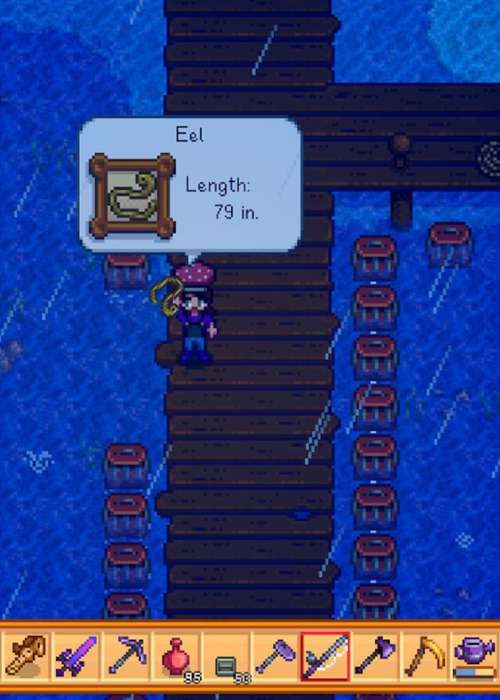 How to find & catch Eel in Stardew Valley