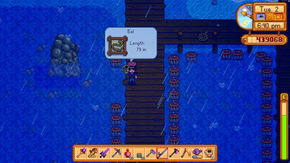 How to find & catch Eel in Stardew Valley