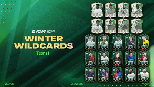 Image of the players included in Winter Wildcards team 1