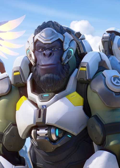 Best Overwatch 2 Heroes For Beginners