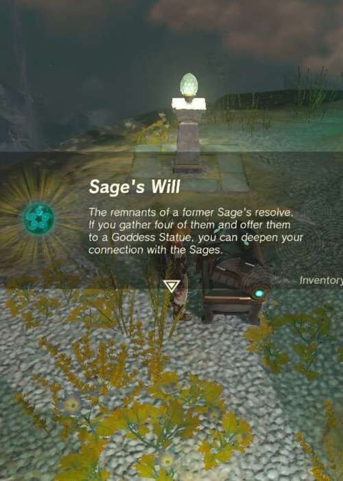 Zelda: Tears of the Kingdom Sage's Will - Where to find & how to use