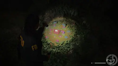 A closed lunchbox surrounded by colourful rocks in Alan Wake 2